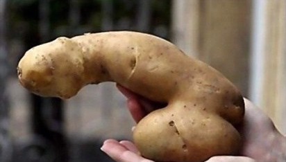 humor dick or potato